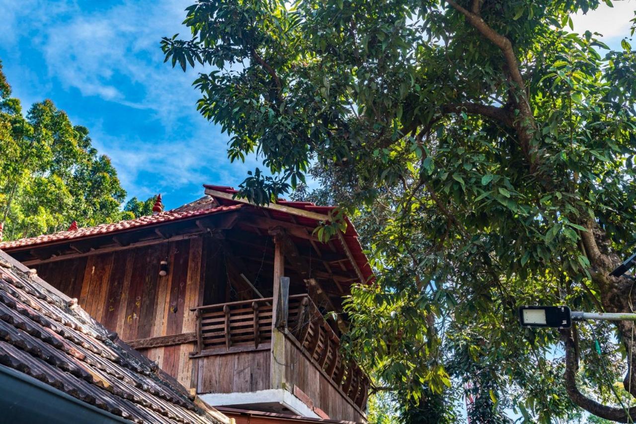 Castillo De Woods , The Private Luxury Villa , 8 Bhk, Vattavada Kottakamboor Eksteriør bilde